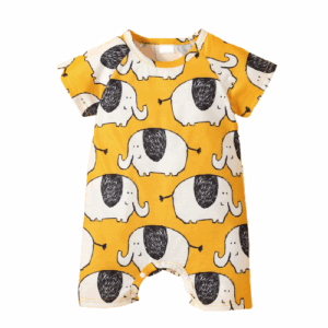 06C5D805-140D-40CA-B858-A40B809EDF02-removebg-preview