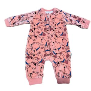 43835677-E1EF-4B97-8AB7-78F1474F1BC9