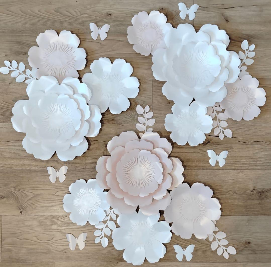 WhatsApp-Image-2024-02-27-at-17