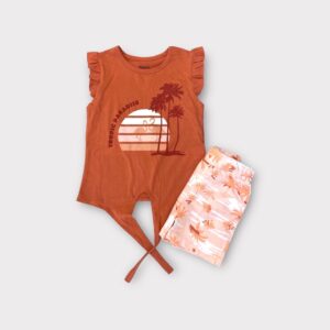 91DBBC2C-8A0C-4EED-B329-ED7181BE5204